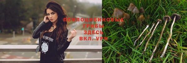 мет Абдулино