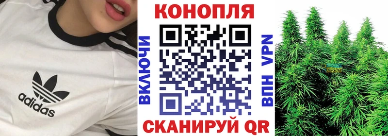 где купить   Балаково  mega зеркало  Бошки марихуана гибрид 
